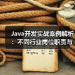 Java开发实战案例解析：不同行业岗位职责与技术应用全揭秘（图1）