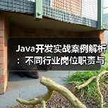 Java开发实战案例解析：不同行业岗位职责与技术应用全揭秘（图2）