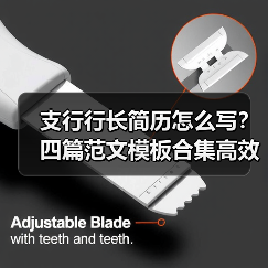 支行行长简历怎么写？四篇范文模板合集高效准备指南（图2）