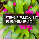广东打造博士后人才特区 释放留才新信号（图2）