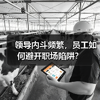 领导内斗频繁，员工如何避开职场陷阱？（图3）