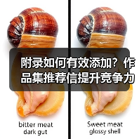 附录如何有效添加？作品集推荐信提升竞争力全解析（图2）