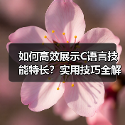 如何高效展示C语言技能特长？实用技巧全解析（图3）