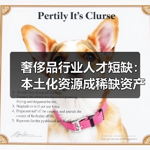 奢侈品行业人才短缺:本土化资源成稀缺资产(图3) 奢侈品行业人才短缺:本土化资源成稀缺资产(图3)