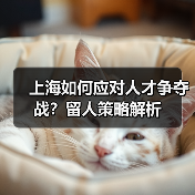 上海如何应对人才争夺战?留人策略解析(图4) 上海如何应对人才争夺战?留人策略解析(图4)