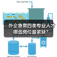 外企急需四类专业人才，哪些岗位最紧缺？（图3）