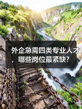 外企急需四类专业人才，哪些岗位最紧缺？（图2）