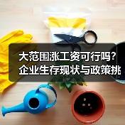 大范围涨工资可行吗？企业生存现状与政策挑战（图4）