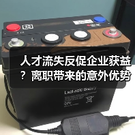 人才流失反促企业获益？离职带来的意外优势分析（图2）