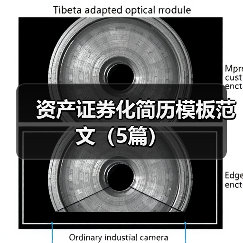 资产证券化简历模板范文（5篇）（图4）