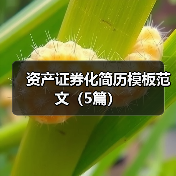 资产证券化简历模板范文（5篇）（图1）
