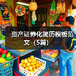 资产证券化简历模板范文（5篇）（图3）