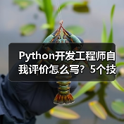 Python开发工程师自我评价怎么写？5个技巧+案例解析（图4）