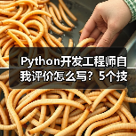 Python开发工程师自我评价怎么写？5个技巧+案例解析（图1）