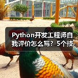 Python开发工程师自我评价怎么写？5个技巧+案例解析（图3）