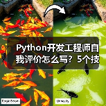 Python开发工程师自我评价怎么写？5个技巧+案例解析（图2）