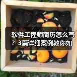 软件工程师简历怎么写?3篇详细案例教你如何高效展示技能(图4) 软件工程师简历怎么写?3篇详细案例教你如何高效展示技能(图4)