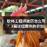 软件工程师简历怎么写?3篇详细案例教你如何高效展示技能(图3) 软件工程师简历怎么写?3篇详细案例教你如何高效展示技能(图3)