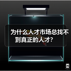 为什么人才市场总找不到真正的人才？（图4）