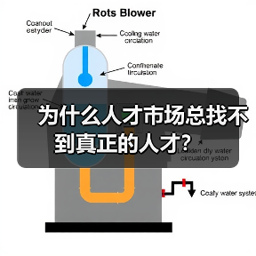 为什么人才市场总找不到真正的人才？（图2）