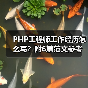 PHP工程师工作经历怎么写？附6篇范文参考（图2）