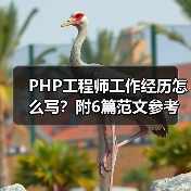 PHP工程师工作经历怎么写？附6篇范文参考（图3）