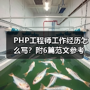 PHP工程师工作经历怎么写？附6篇范文参考（图1）