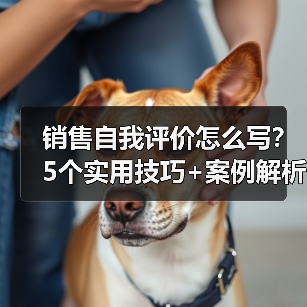 销售自我评价怎么写？5个实用技巧+案例解析（图3）