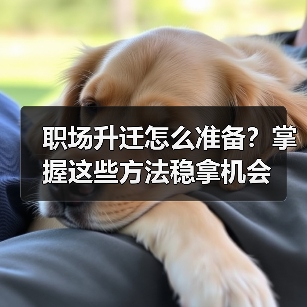 职场升迁怎么准备？掌握这些方法稳拿机会（图1）