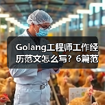 Golang工程师工作经历范文怎么写？6篇范文解析（图3）