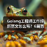 Golang工程师工作经历范文怎么写？6篇范文解析（图4）