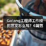 Golang工程师工作经历范文怎么写？6篇范文解析（图1）