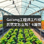 Golang工程师工作经历范文怎么写？6篇范文解析（图2）