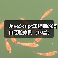 JavaScript工程师的项目经验案例（10篇）（图2）