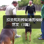 投资风险控制简历模板范文（3篇）（图4）