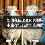 如何在快速变化的职场中生存与发展？实用策略全解析（图2）