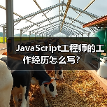 JavaScript工程师的工作经历怎么写？（图3）