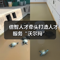 倍智人才牵头打造人才服务“沃尔玛”（图1）