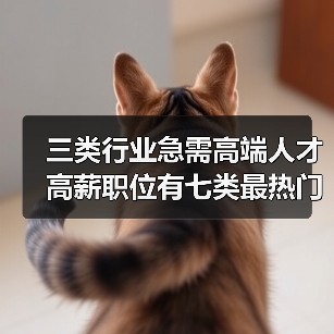 三类行业急需高端人才 高薪职位有七类最热门（图1）