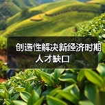 创造性解决新经济时期人才缺口（图4）
