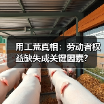 用工荒真相:劳动者权益缺失成关键因素?(图4) 用工荒真相:劳动者权益缺失成关键因素?(图4)