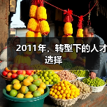 2011年，转型下的人才选择（图1）