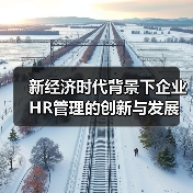 新经济时代背景下企业HR管理的创新与发展（图3）