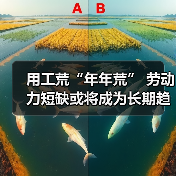 用工荒“年年荒” 劳动力短缺或将成为长期趋势（图2）