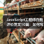JavaScript工程师自我评价范文10篇：如何写出高分评价？（图2）