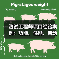测试工程师项目经验案例：功能、性能、自动化测试实战解析（图4）