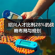 绍兴人才比例28%的战略布局与规划（图2）