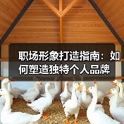 职场形象打造指南：如何塑造独特个人品牌（图1）