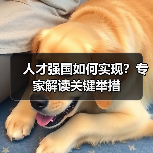 人才强国如何实现？专家解读关键举措（图4）