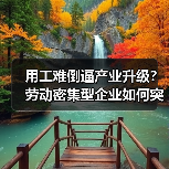 用工难倒逼产业升级？劳动密集型企业如何突围（图1）